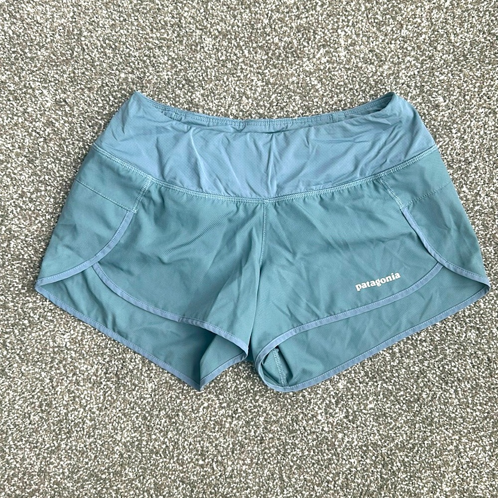 Blue Patagonia Shorts
